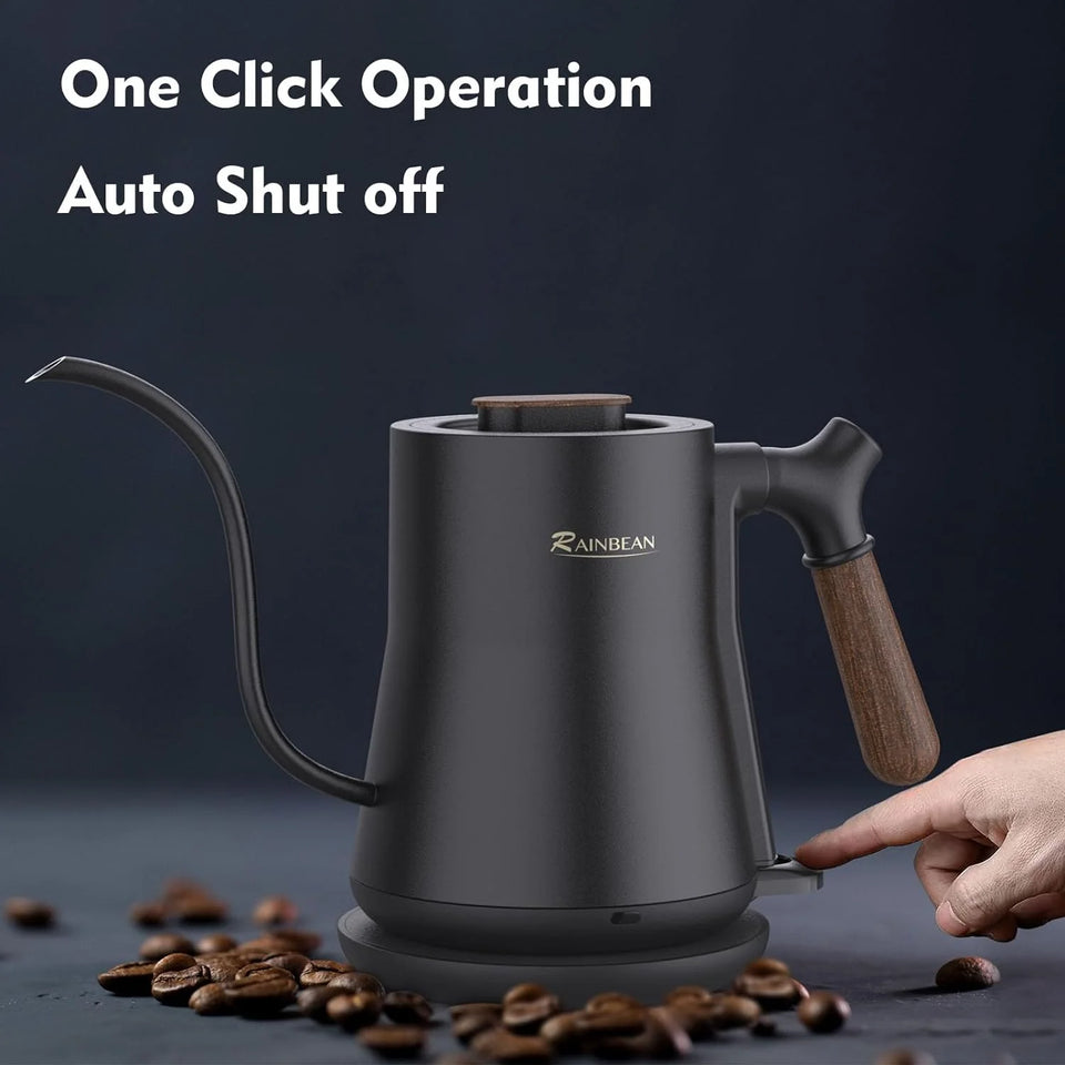 Gooseneck Quick Heating Electric Kettle